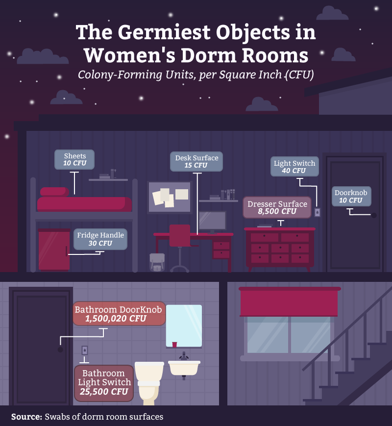 03_germiest_objects_women